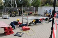 IMG_9848 (Large)